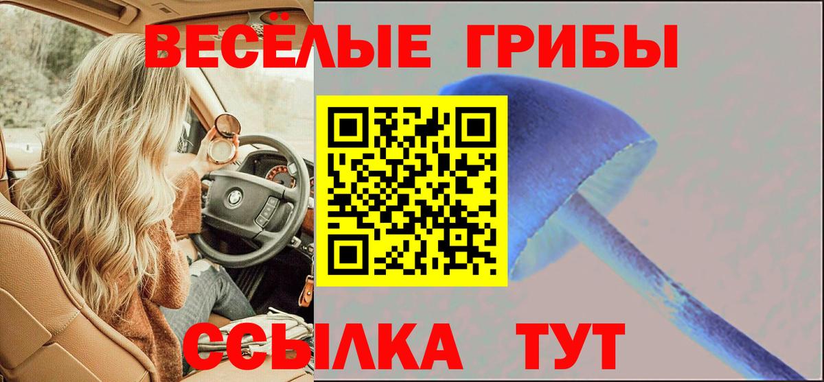 Галлюциногенные грибы мухоморы  Вход с VPN  наркота  Чистополь 