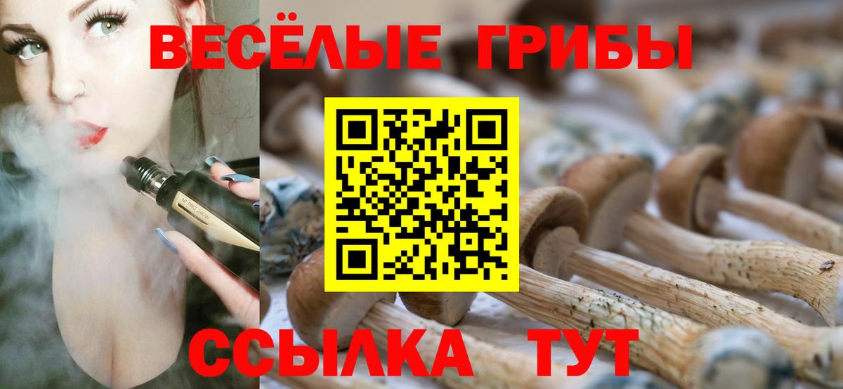 Псилоцибиновые грибы мухоморы Чистополь